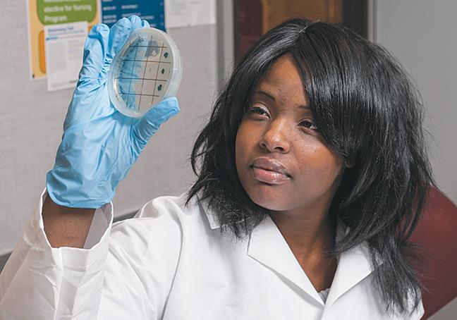 Biotechnology student Amanda Carson carefully examines reagents from the Biotechnology club refrigerator.

