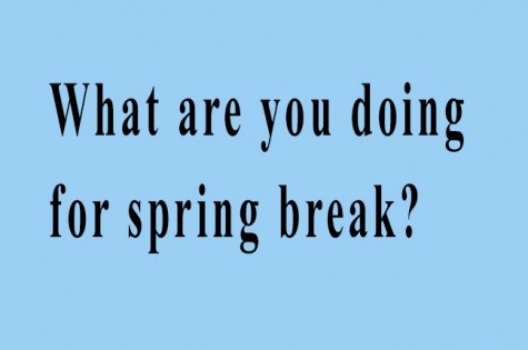 What are you doing for spring break?