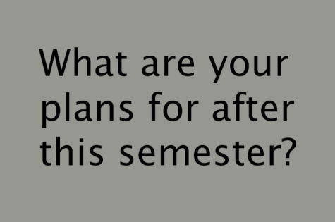 What are your plans for after this semester?