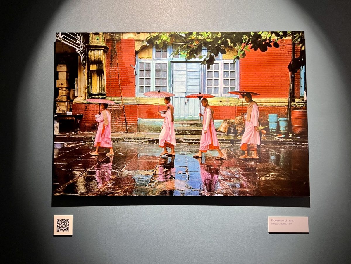 MATCs photography students took a field trip to Chicago at the end of January. One of the highlights was seeing the work of world-famous photographer Steve McCurry, which included Procession of nuns taken in 1994 in Rangoon, Burma.