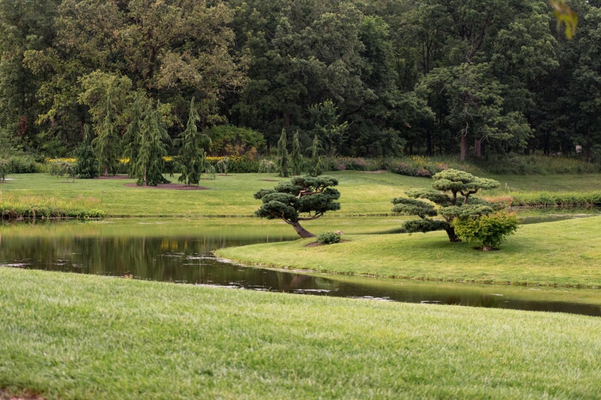 Chicago Botanic Garden, summer 2024