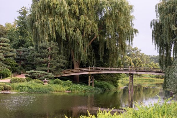 Chicago Botanic Garden, summer 2024