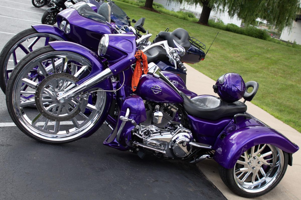 All types of bikes line streets and parking lots during the 2025 Harley-Davidson Homecoming Festival, July 10-13.