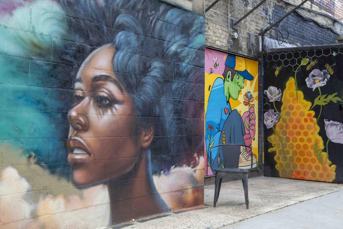 Murals dot the buildings on Milwaukee's East Side in Black Cat Alley. It's an outdoor art gallery in a private alley located behind the Oriental Theatre.