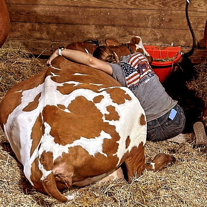 Rachel Krueger hugging her cow Moose that she's showing at the Wisconsin State Fair this year. Photo shared by Krueger.