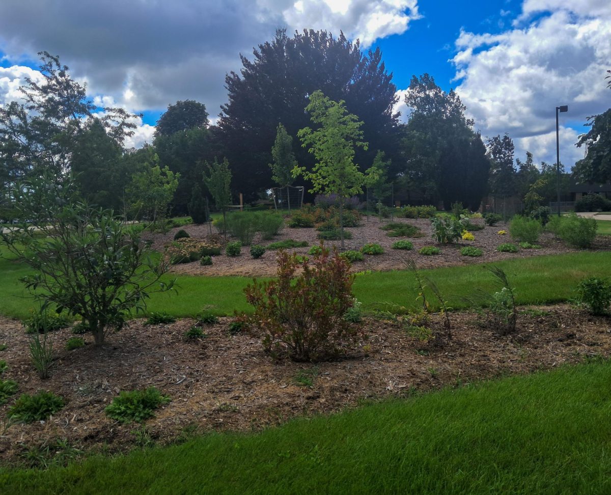 Landscaping around the Mequon Campus