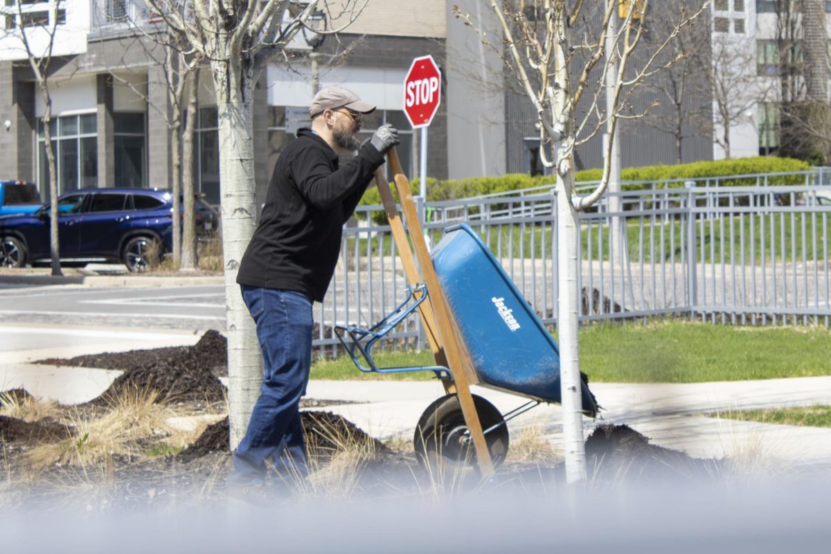 A volunteer unloads a wheelbarrow full of mulch during the Campus Clean Up event, April 20, 2026.