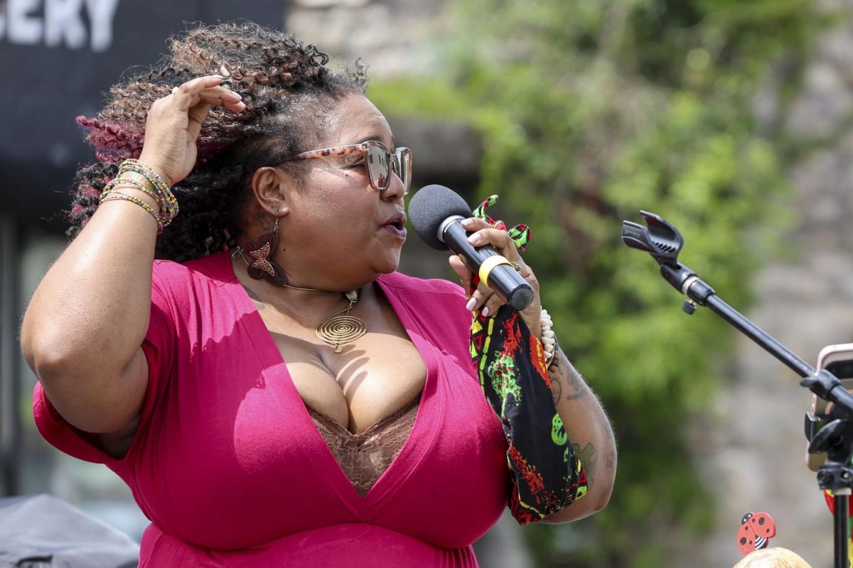 MATC music teacher and local artist Keshena Armon performs a set at the Summer Solstice Music Festival